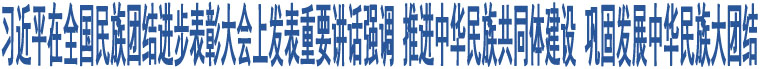 習近平在全國民族團結(jié)進步表彰大會上發(fā)表重要講話強調(diào) 推進中華民族共同體建設 鞏固發(fā)展中華民族大團結(jié)