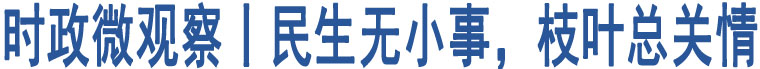 時(shí)政微觀察丨民生無小事，枝葉總關(guān)情