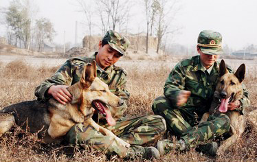 警犬的風(fēng)采