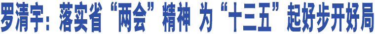 羅清宇：落實省“兩會”精神 為“十三五”起好步開好局