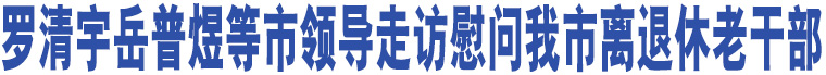 羅清宇岳普煜等市領導走訪慰問我市離退休老干部